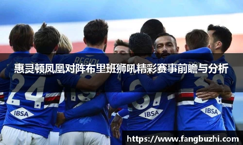 惠灵顿凤凰对阵布里班狮吼精彩赛事前瞻与分析