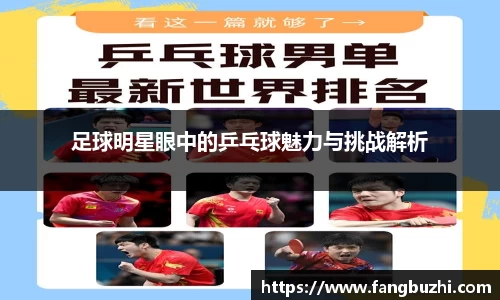 足球明星眼中的乒乓球魅力与挑战解析